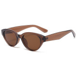 Retro Oval Cat Eye UV400 Outdoor Vacation Sunglasses