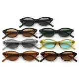 Retro Oval Cat Eye UV400 Outdoor Vacation Sunglasses