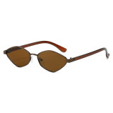 Retro Women Polygonal Shades Sunglasses