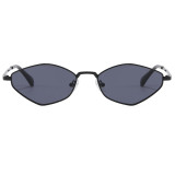 Retro Women Trendy Irregular Cat Eye Metal Shades Sunglasses