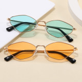 Retro Women Trendy Irregular Cat Eye Metal Shades Sunglasses