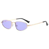 Retro Women Steampunk Style Small Cat Eye Sunglasses
