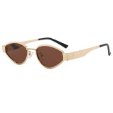 Retro Women Oval Cat Eye Travel Photo Decorative Sunglasses