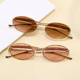 Retro Oval Trendy Outdoor Vacation Photo Decorative Sunglasses