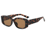 Retro Classic Rectangle Outdoor Vacation Photo Decorative Sunglasses