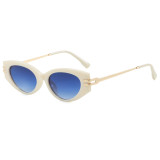 Retro Steampunk Style Small Oval Sunglasses
