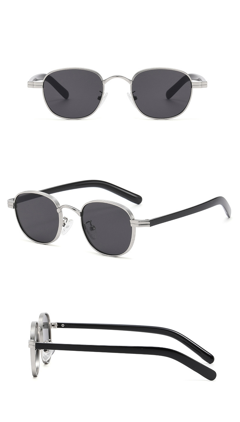 Round sunglasses C2 color