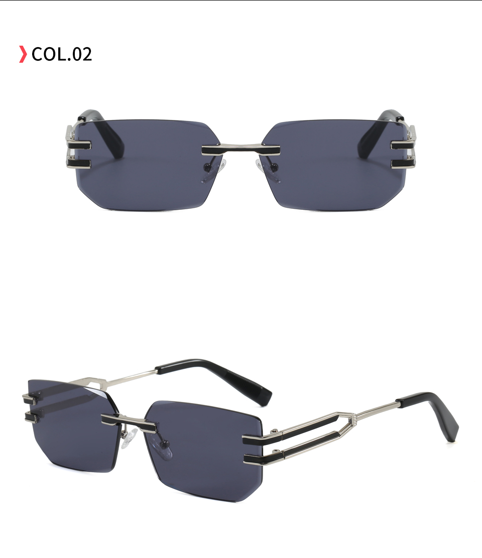 Sunglasses Metal Hinge Detail