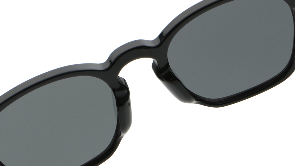 Color C2 Black and Tortoise