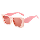 Vintage Y2K Oversized Square Cat Eye Sunglasses for Women