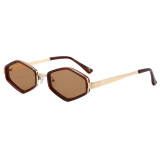 Retro Y2K Hexagonal Metal Shades Sunglasses