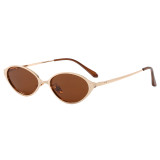 Vintage Slim Metal Oval Cat Eye Polarized Sunglasses for Women
