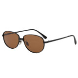 Slim Thin Metal Oval Polarized Sunglasses for Women Men