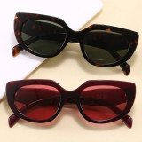 Retro Y2K Cat Eye Outdoor Vacation Sunglasses for Women
