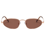 Slim Oval Polarized Sunglasses with TAC Lenses and Lightweight Metal Frame