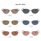 Y2K Slim Hexagonal Cat Eye Metal Frame UV400 Protection Sunglasses