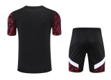 21-22 AC Milan Red and black Short Sleeve Suit(With short)