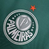 22-23 Palmeiras Home  Fans Jersey