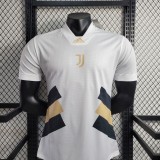23-24 Juventus Speical Player Jersey/23-24 尤文特别球员版
