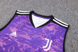 23-24 Juventus purple Training Vest Suit