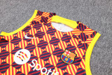23-24 Barcelona Yellow Training Vest Suit