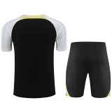 23-24 Chelsea Training Short Sleeve Suit/23-24 切尔西短袖训练服