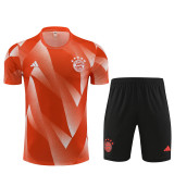 23-24 Bayern Munich Camouflage Training Short Sleeve Suit/23-24拜仁短袖训练服