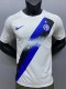 23-24 Inter Milan Away Fans Jersey/23-24 国米客场球迷版