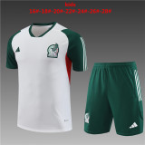 23-24 Mexico Short Sleeve Training Suit/23-24墨西哥短袖训练服