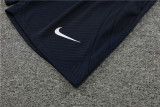 23-24 Tottenham Hotspur Short Sleeve Training Suit
