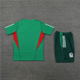 23-24 Mexico Short Sleeve Training Suit