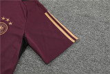 23-24 Germany Short Sleeve Training Suit/23-24 德国短袖训练服