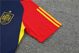 23-24 Spain Short Sleeve Training Suit/23-24西班牙短袖训练服