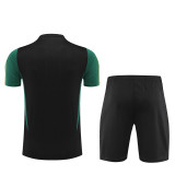 23-24 Germany Short Sleeve Training Suit/23-24德国短裤训练服