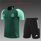 23-24 Algeria Short Sleeve Training Suit/23-24 阿尔及利亚短袖训练服