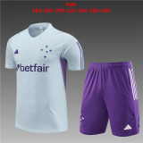23-24 Cruzeiro Esporte Short Sleeve Training Suit