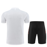 23-24 Manchester United Short Sleeve Training Suit/23-24 曼联短袖训练套装2