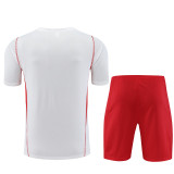 23-24 Flamengo Short Sleeve Training Suit