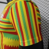 23-24 Ghana Home Player Jersey/23-24 加纳主场球员版