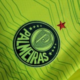 23-24 Palmeiras Third Fans Jersey/23-24 帕尔梅拉斯第二客场球迷版
