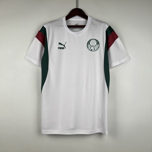 23-24 Palmeiras Special Fans Jersey/23-24 帕尔梅拉斯特别球迷