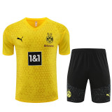 23-24 Borussia Dortmund Short Sleeve Training Suit/ 23-24短袖训练服多特黄色