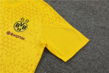 23-24 Borussia Dortmund Short Sleeve Training Suit/ 23-24短袖训练服多特黄色