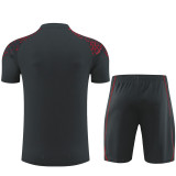 23-24 Manchester City Short Sleeve Training Suit/23-24曼城短袖训练服