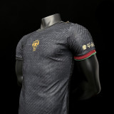 23-24 Portugal Special Edition Player Jersey/23-24葡萄牙特别球员版