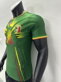23-24 Mali Africa Cup Away Player Jersey/23-24马里非洲杯客场球员版