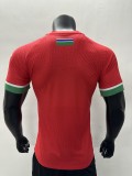 23-24 Gambia Africa Cup Home Player Jersey/23-24冈比亚非洲杯主场球员版