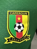 23-24 Cameroun Home Player Jersey/23-24喀麦隆主场球员版