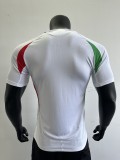 2024 Italy Away Player Jersey/2024意大利客场球员版