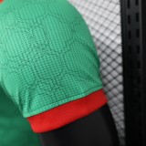 23-24 Mexico Special Player Jersey/23-24墨西哥球员版